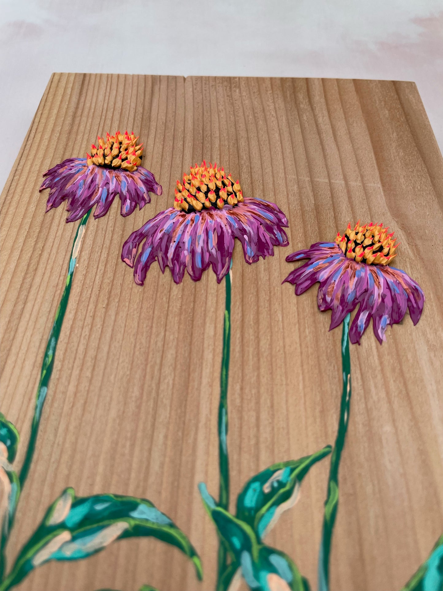 Triple Textured Echinacea