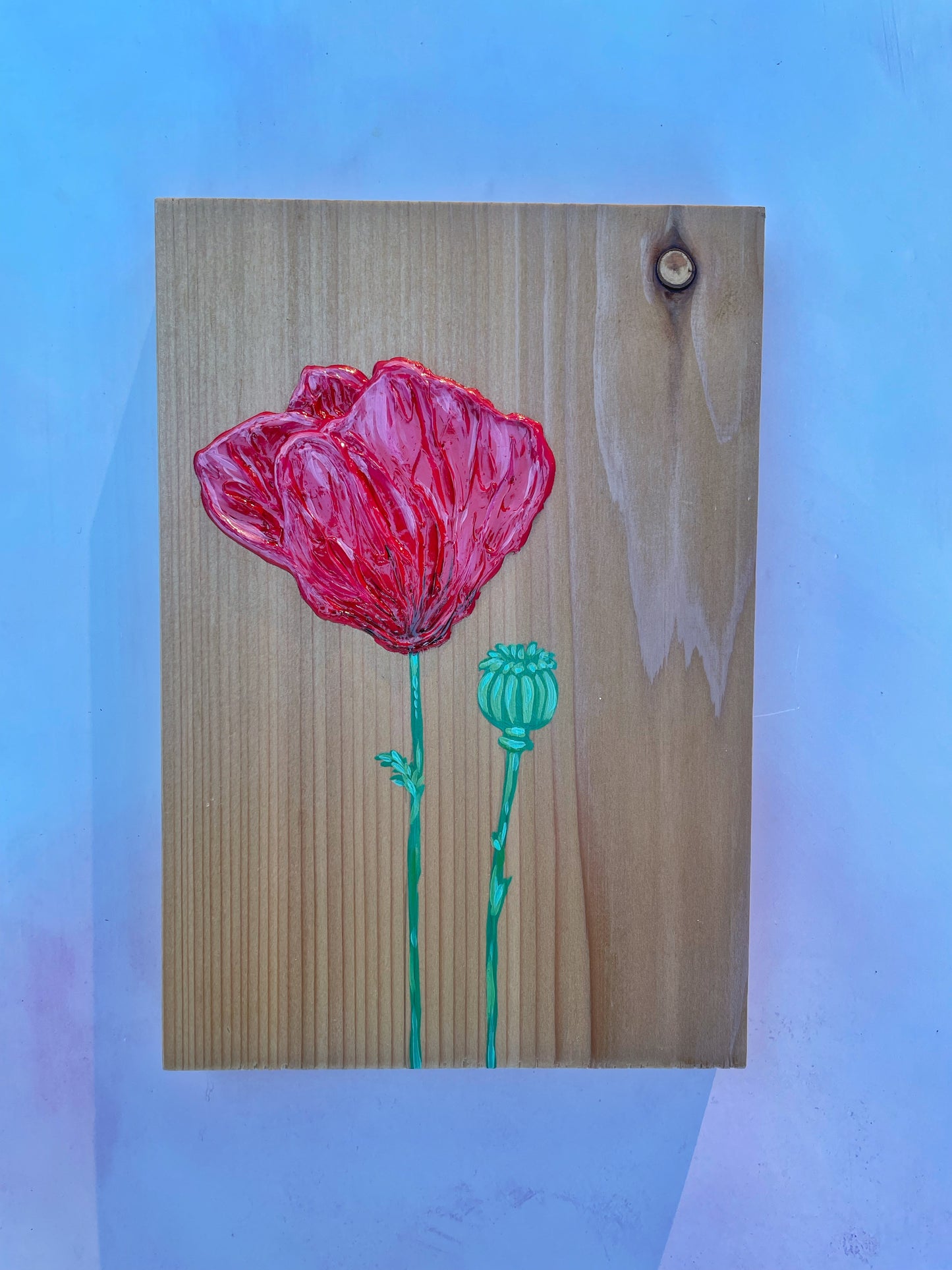 Single Poppy #45