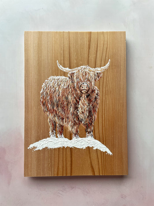 Snowy Highland Cow