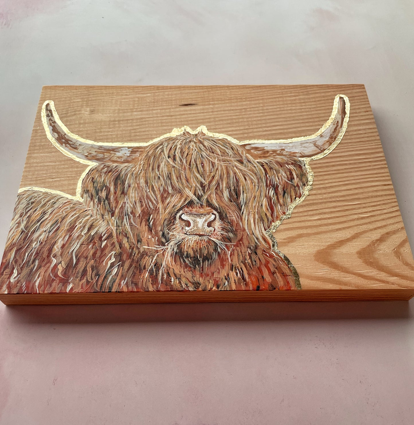 Highland Cow with hay