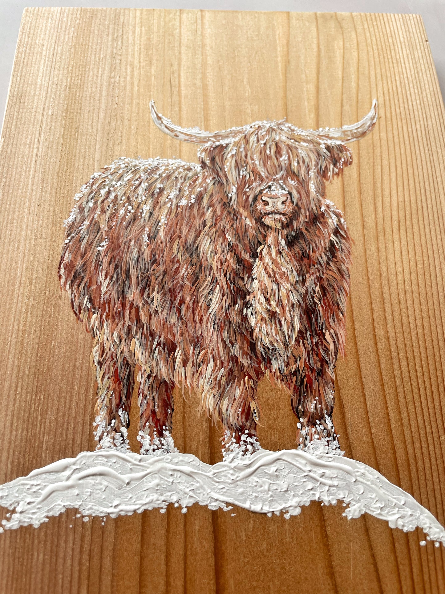 Snowy Highland Cow