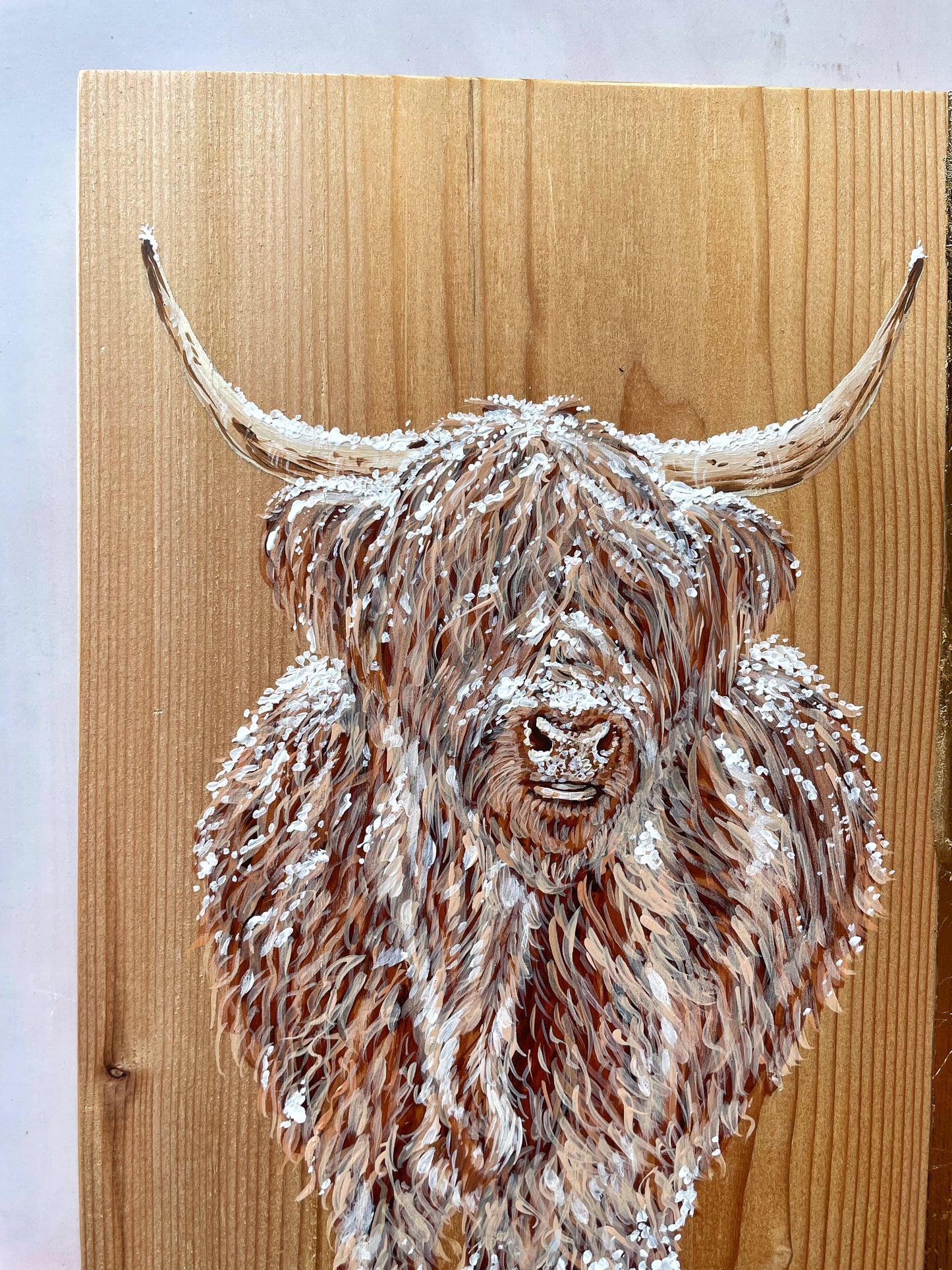 Winter Highland Cow