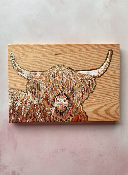 Highland Cow with hay