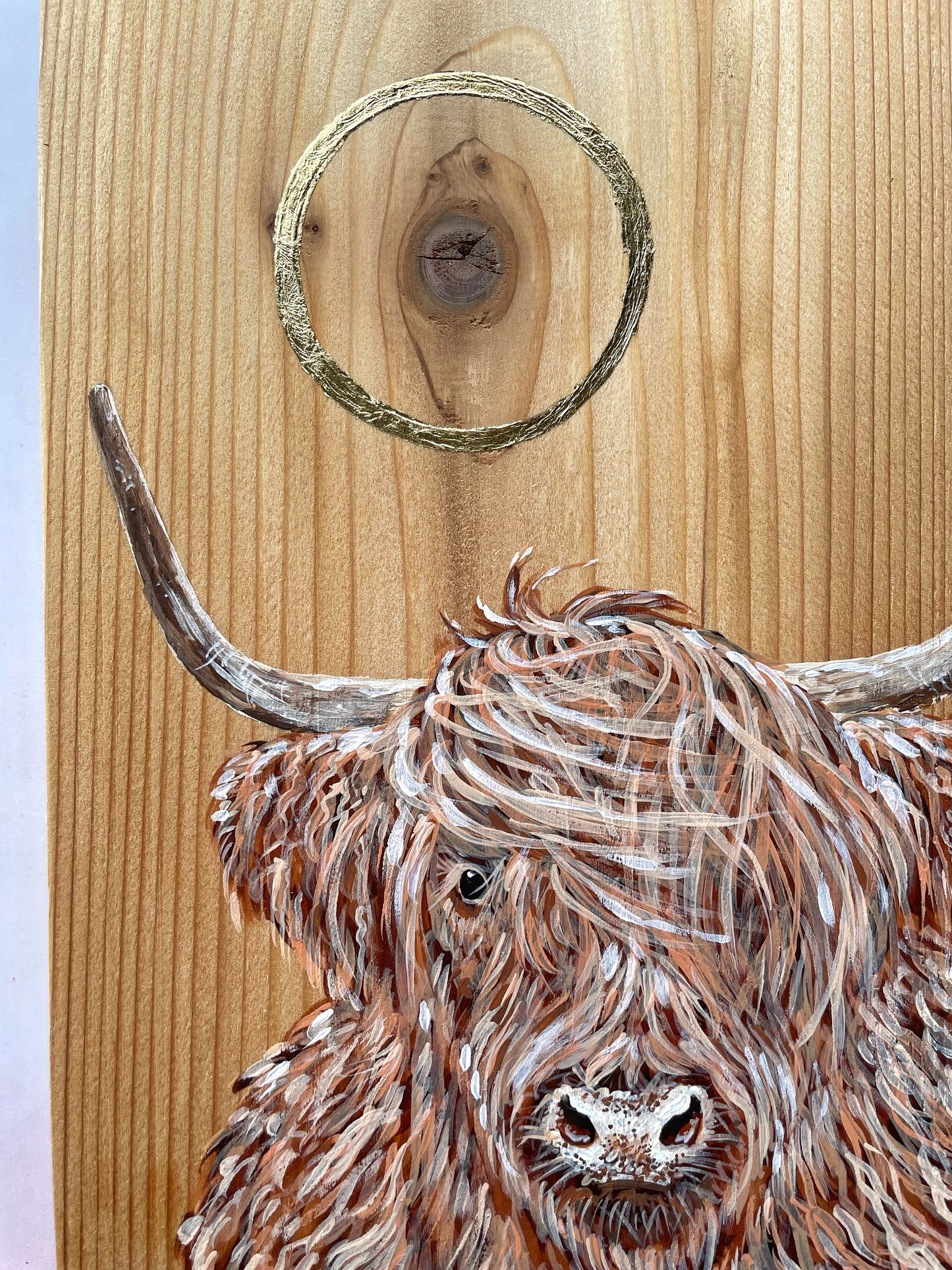 Circle Sun Highland Cow